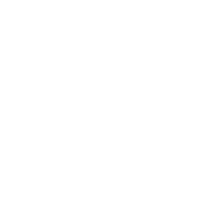The image is blank with a white background and contains no visible objects, text, or features.