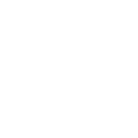 The image is completely blank with a white background and no visible objects or text.