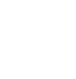 The image is completely blank with a white background and no visible objects or text.
